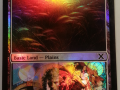 Plains/Lifelink